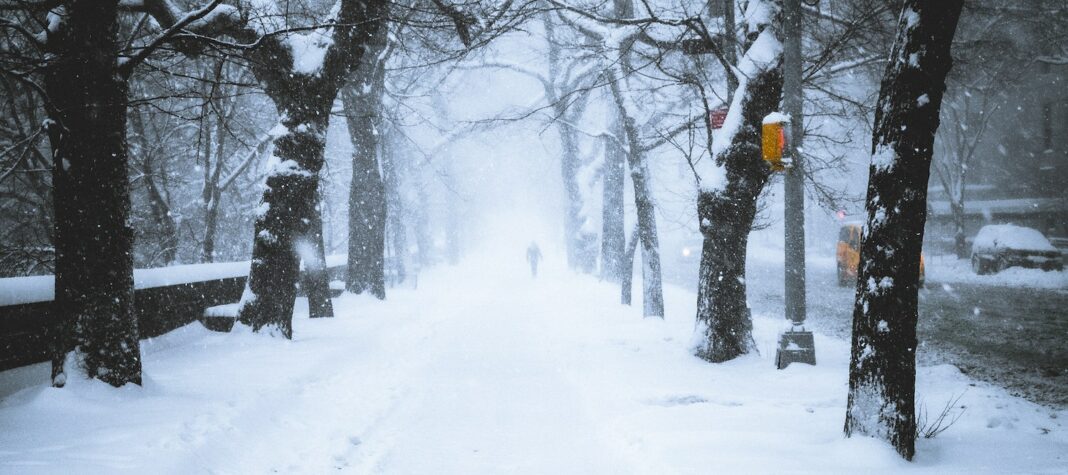 The Great Blizzard Wrecks NYC in 1888: The Largest Snowstorm Ever ...